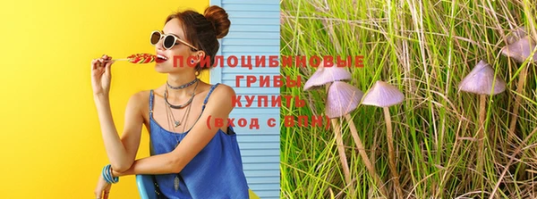 ПСИЛОЦИБИНОВЫЕ ГРИБЫ Наволоки