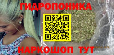прущие грибы Балашиха