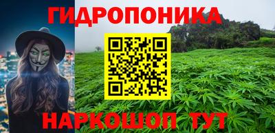 прущие грибы Балашиха