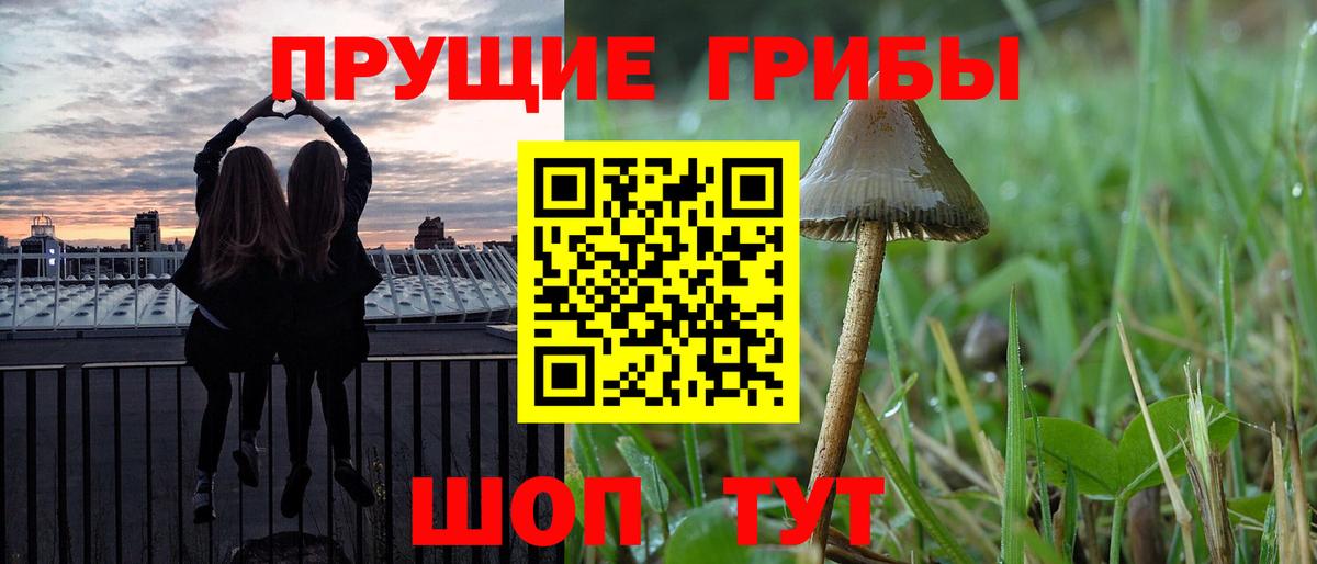 где найти   Псилоцибиновые грибы Magic Shrooms  Вход с VPN  Березники 
